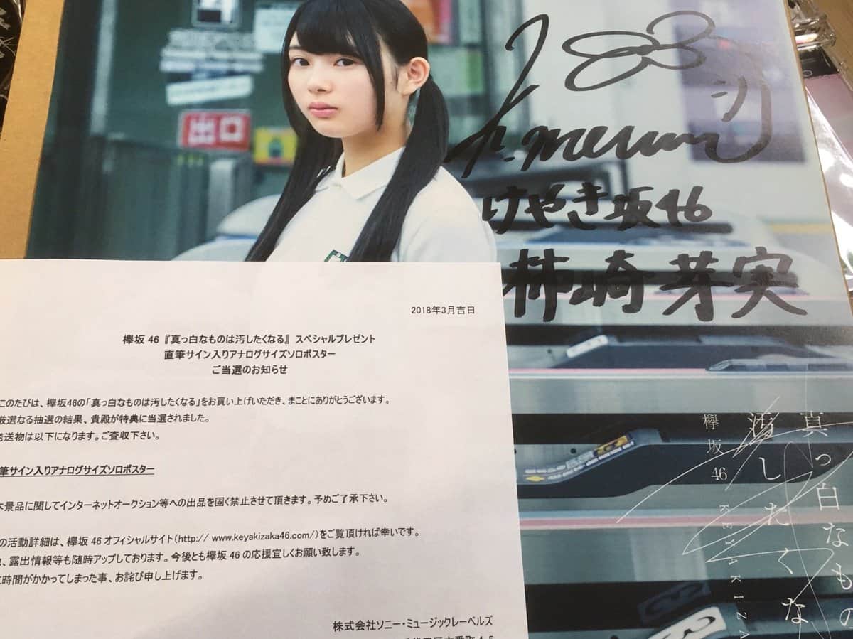 ブランドのギフト 欅坂46 櫻坂46 不協和音 直筆サイン入りポスター