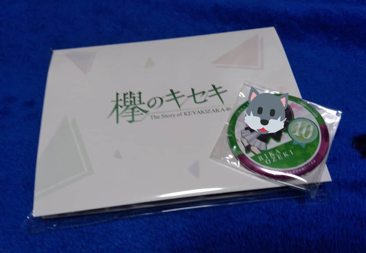 やっと届いた！欅坂46公式ゲームアプリ『欅のキセキ』オリジナル